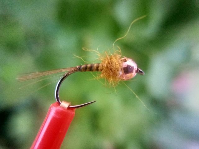 Ninfas de efémeras pesca