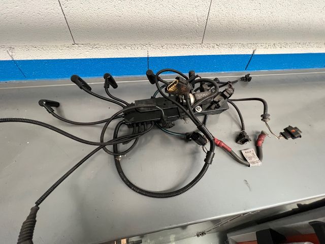 Cableado inyectores completo BMW X5 306D1