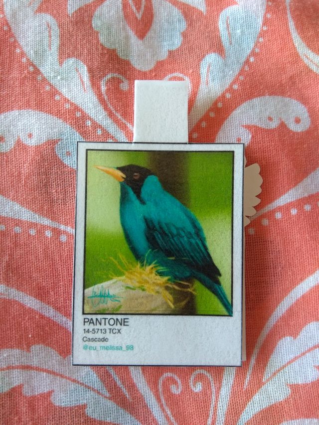 Marcapáginas con imán de pájaros