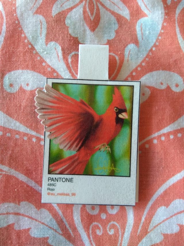 Marcapáginas con imán de pájaros