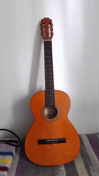 Por qué mi guitarra vibra mucho? causas y posibles soluciones