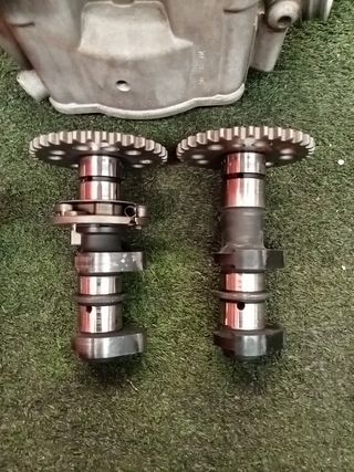 gas gas 450
