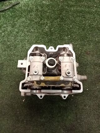 gas gas 450