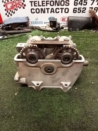 gas gas 450