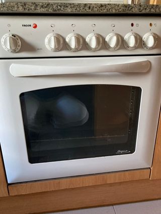 Vitrocerámica (4) con Horno Fagor de segunda mano por 120 EUR en Barcelona  en WALLAPOP