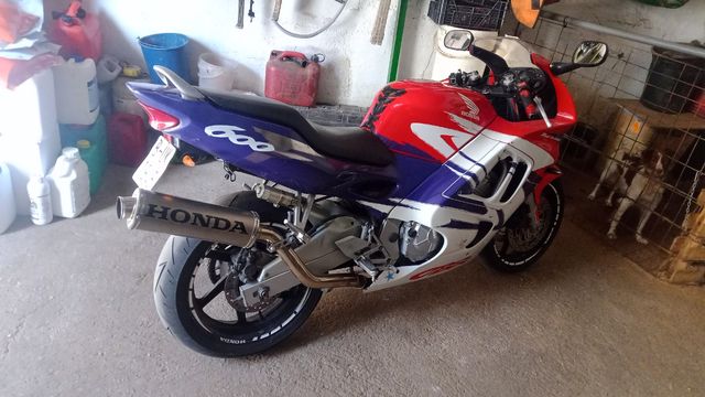 Honda CBR 600