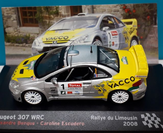 Peugeot 307 WRC 1/43 Rally