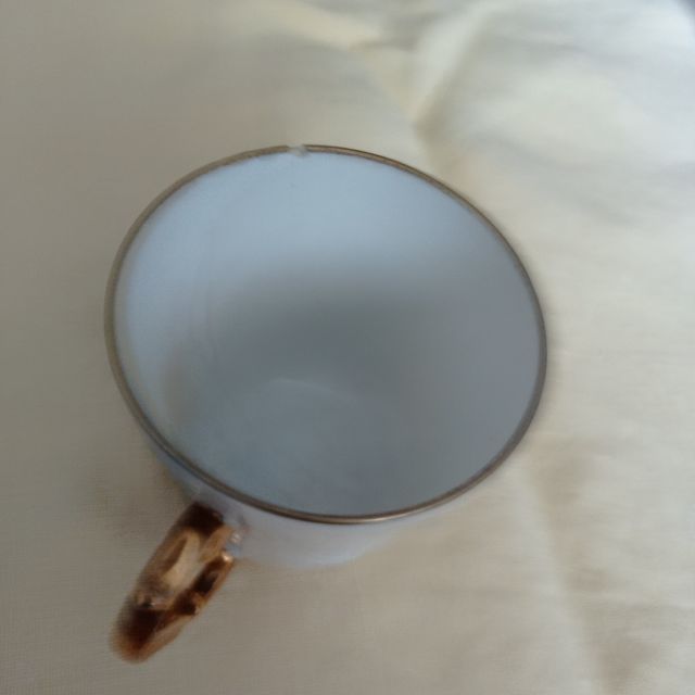 Platos+taza porcelana francesa