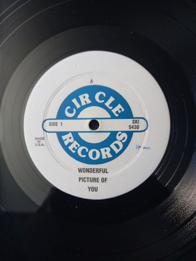 THE BEATLES WONDERFUL PICTURE OF YOU DOBLE BOOT 81