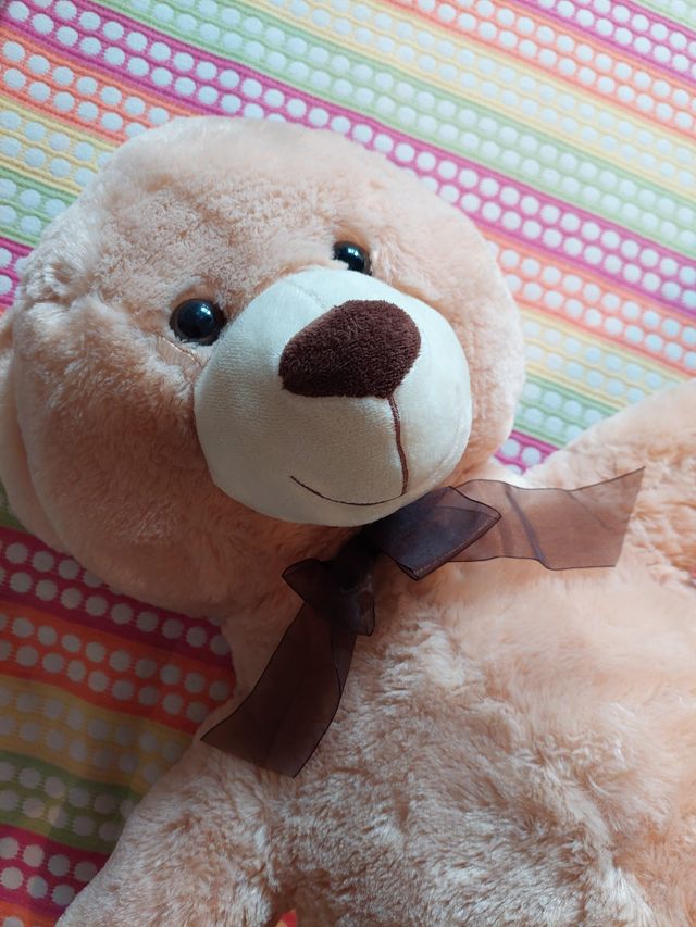 Oso peluche nuevo