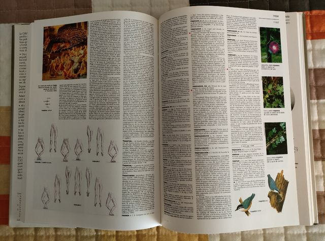 Gran Enciclopedia Larousse Gel Planeta 24 tomos