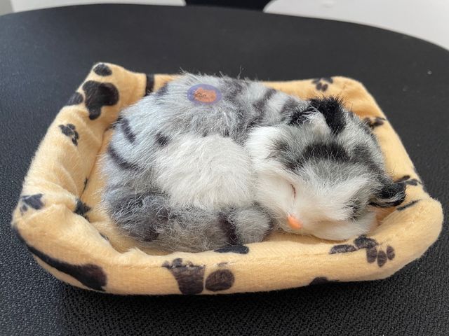 Preciosos gatos y perros