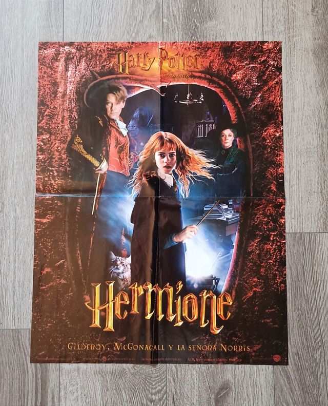 Lote de 3 Pósters de Harry Potter