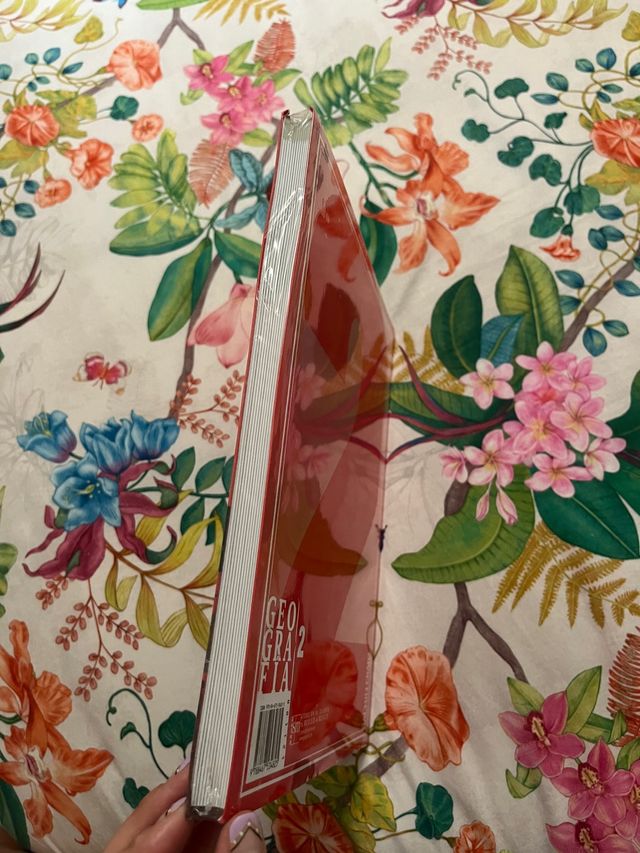 Libro geografía 2 Bachillerato