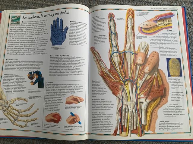 Atlas Visual Cuerpo Humano