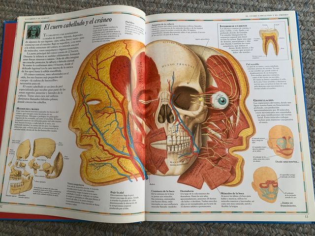 Atlas Visual Cuerpo Humano