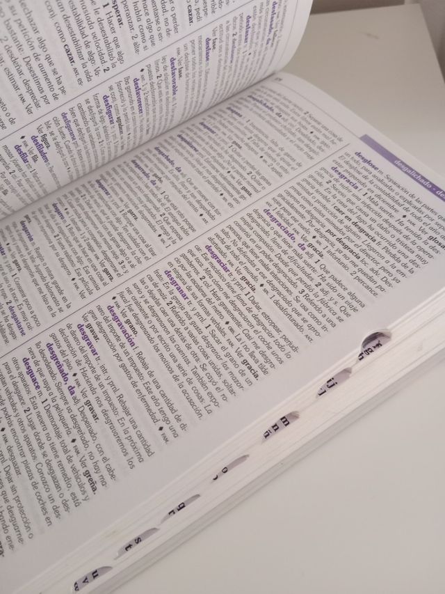 DICCIONARIO ESPAÑOL