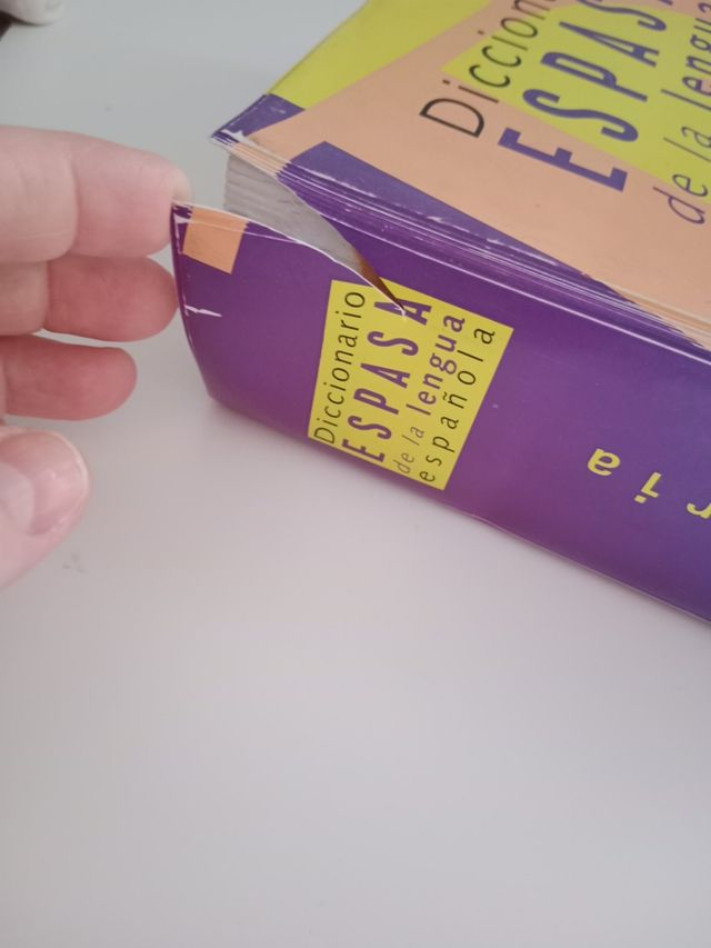 DICCIONARIO ESPAÑOL
