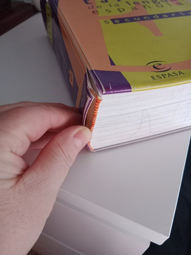 DICCIONARIO ESPAÑOL