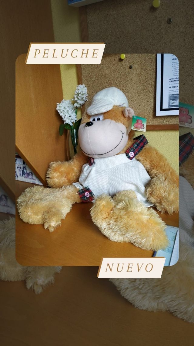 Peluche mediano.