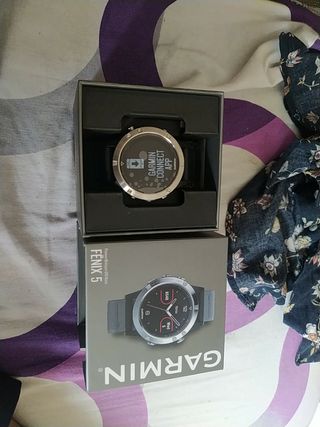 Reloj Garmin Fénix 5 silver de segunda mano por 250 EUR en Badalona en  WALLAPOP