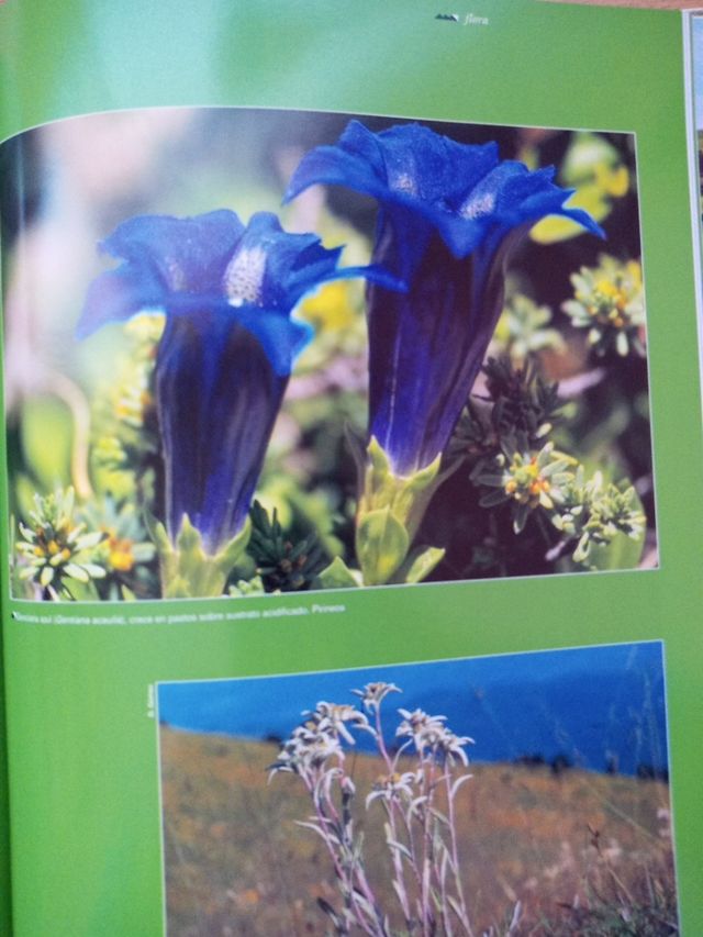 Aragón un país de montañas