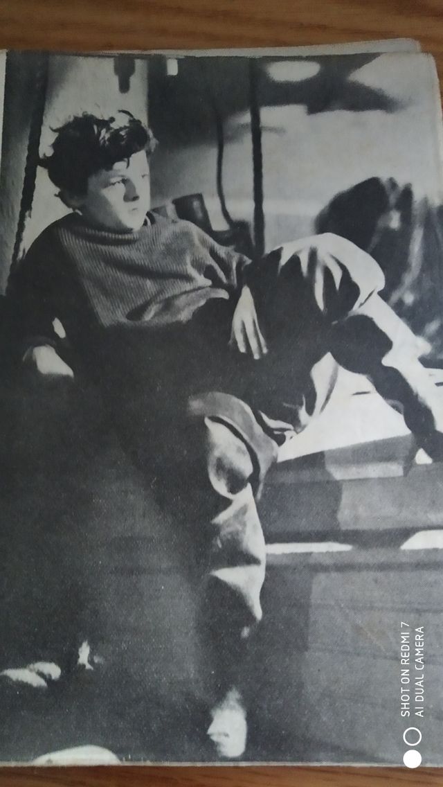 Capitanes intrepidos