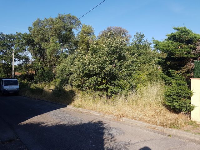 Servicios forestales y jardineria