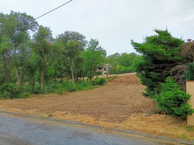 Servicios forestales y jardineria