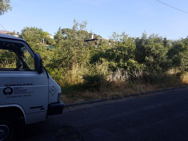 Servicios forestales y jardineria