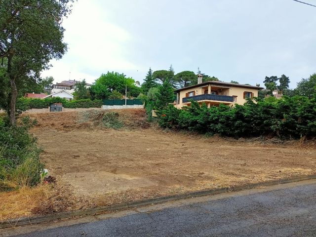 Servicios forestales y jardineria