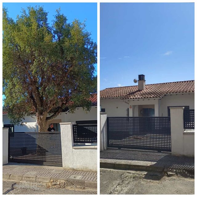 Servicios forestales y jardineria