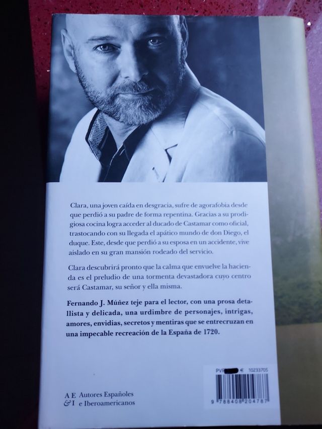 LA COCINERA DE CASTAMAR libro