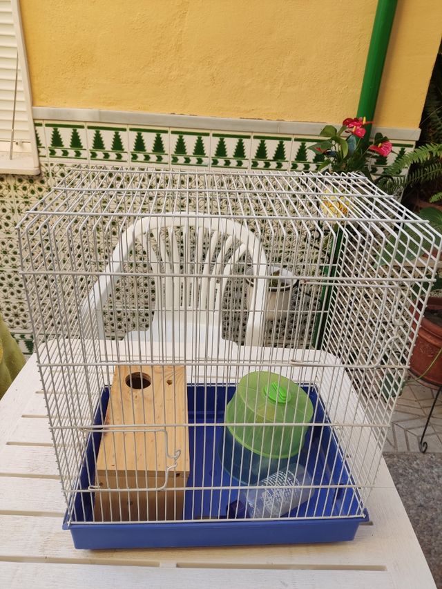 Jaula hamster, roedores 48x40x28