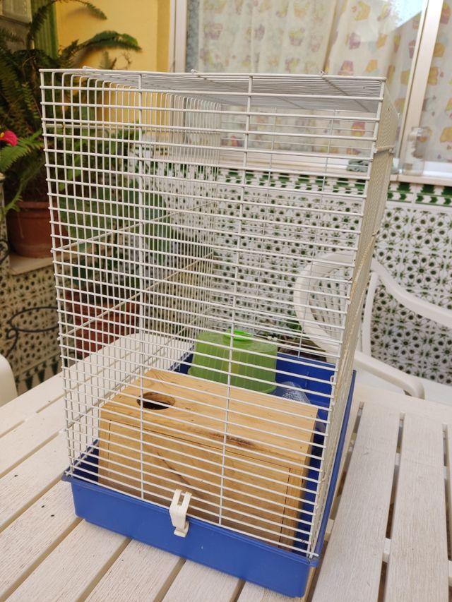 Jaula hamster, roedores 48x40x28