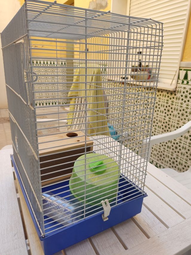 Jaula hamster, roedores 48x40x28