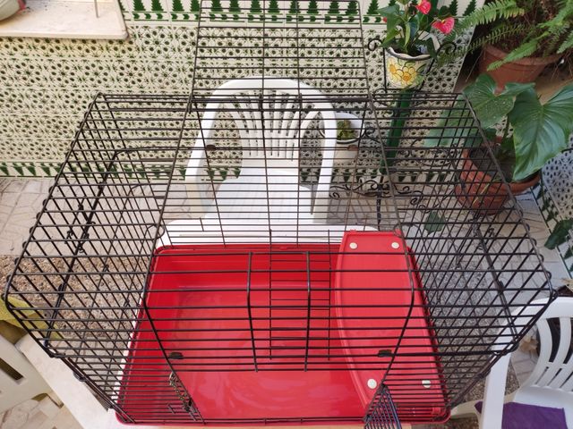 Jaula para huron, chinchilla, conejo...