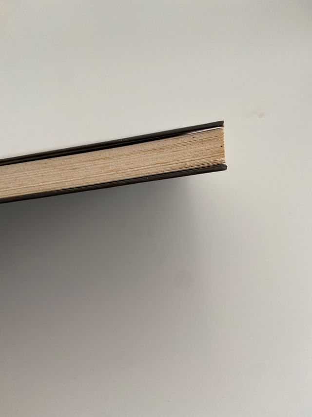 Libro El amante extremadamente puntilloso