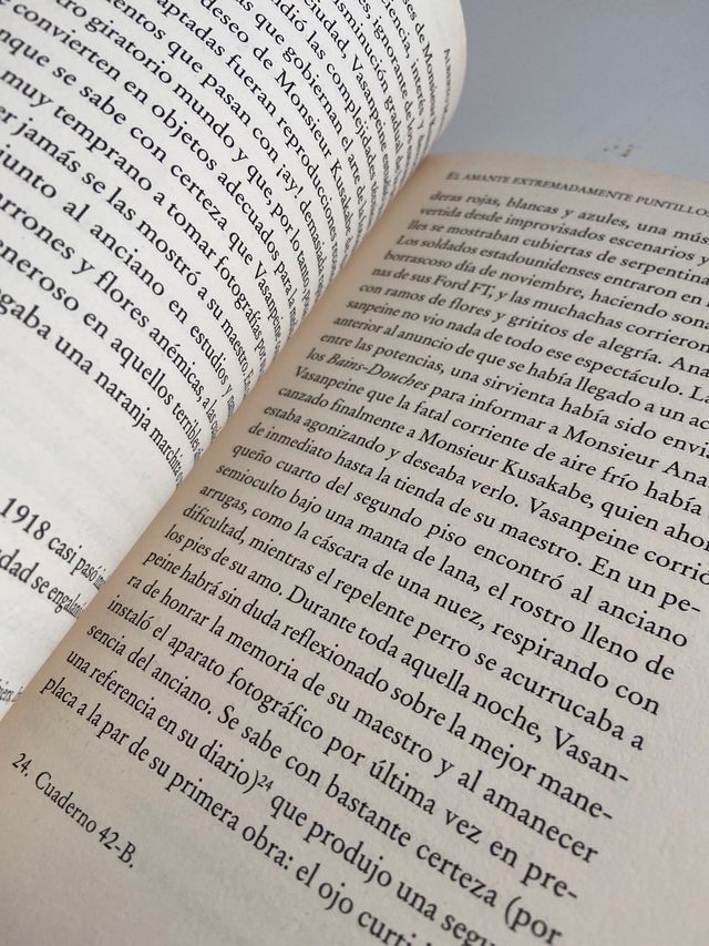 Libro El amante extremadamente puntilloso