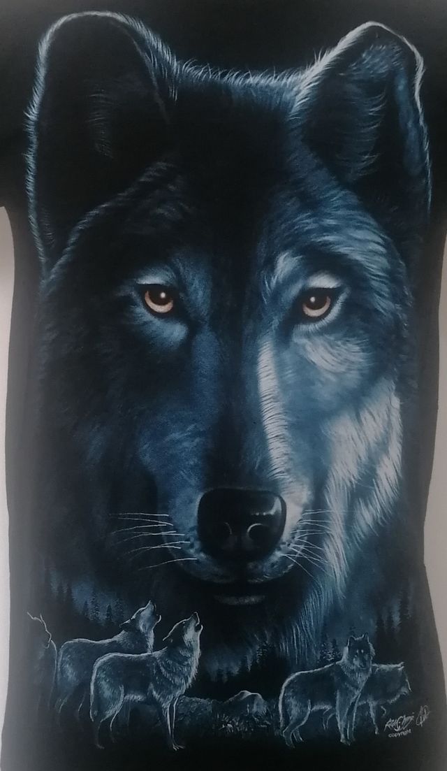 Maglietta t-shirt Lupo Branco blu Harley Davidson