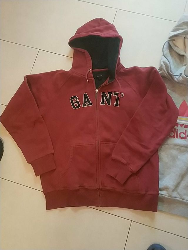 Sudaderas nino o niña Adidas y Gant