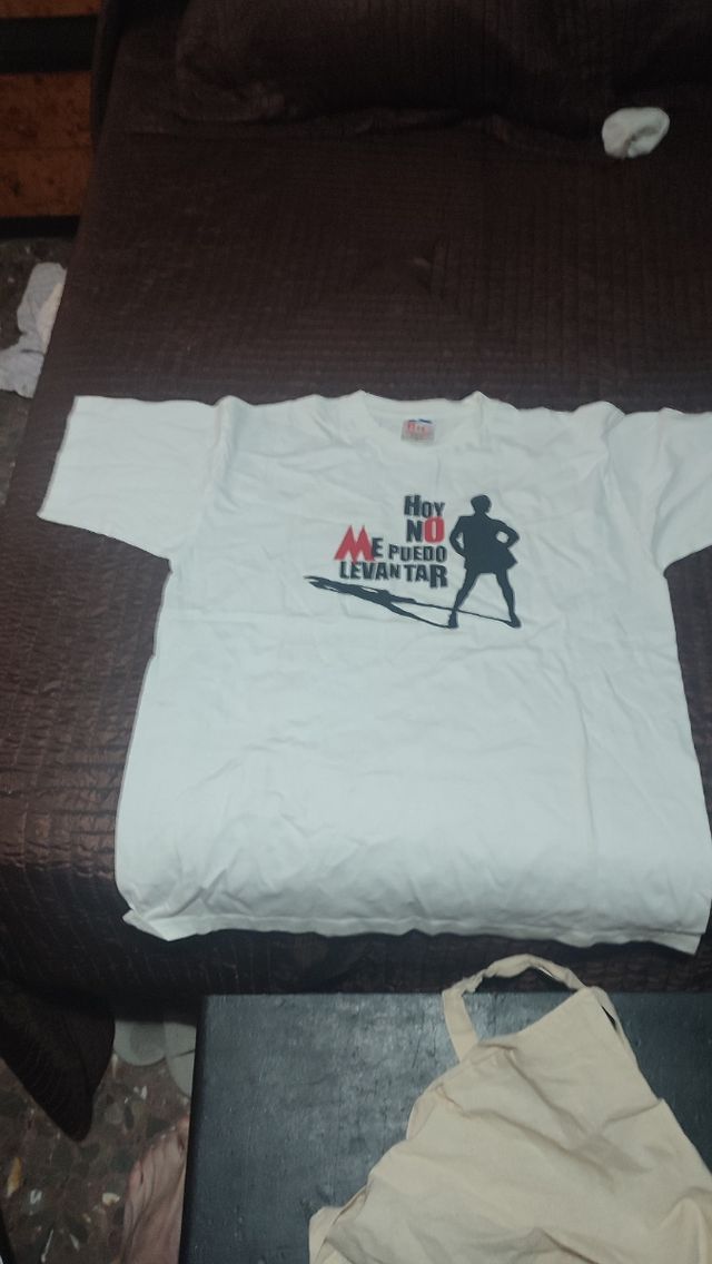 hoy no me puedo levantar