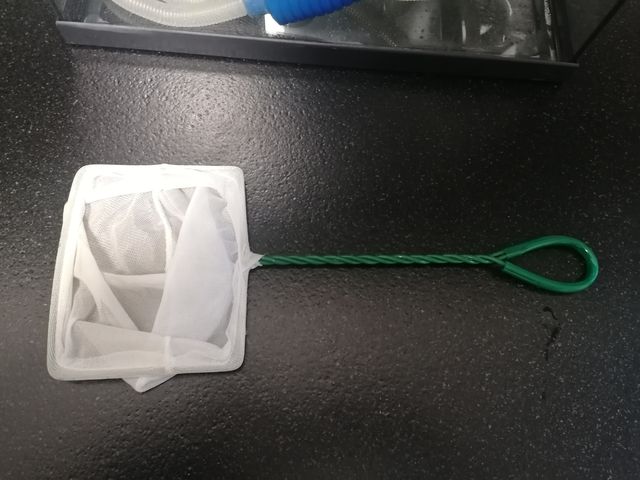 acuario 20 litros mas accesorios