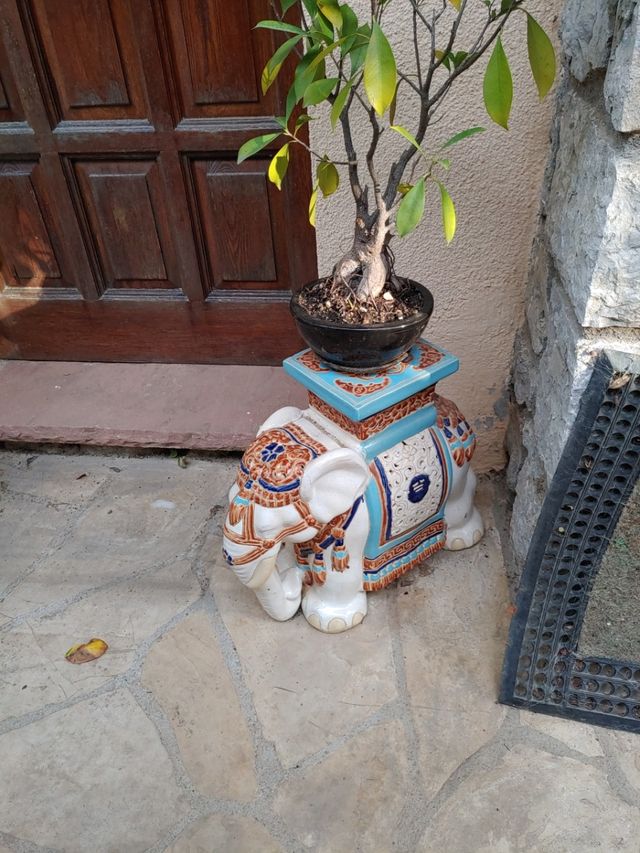 2 unidades Elefante gigante