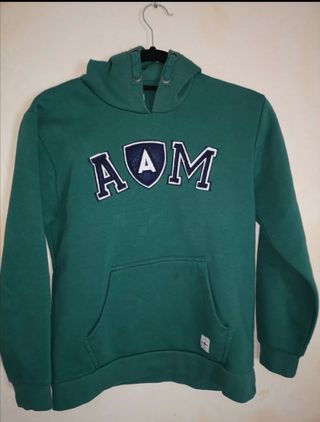 Sudaderas Hombre | Pedro Del Hierro Sudadera Lavada Verde | Carlos Moriyon