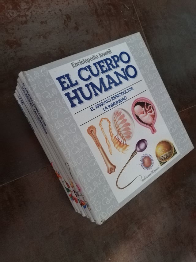 colección de libros para niños del cuerpo humano