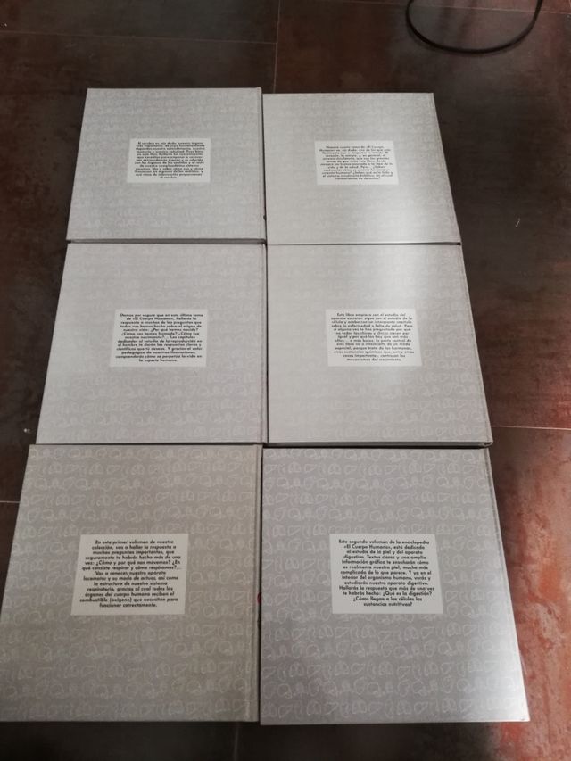colección de libros para niños del cuerpo humano