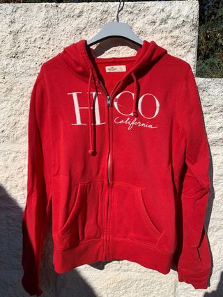 sudadera hollister – it.closet