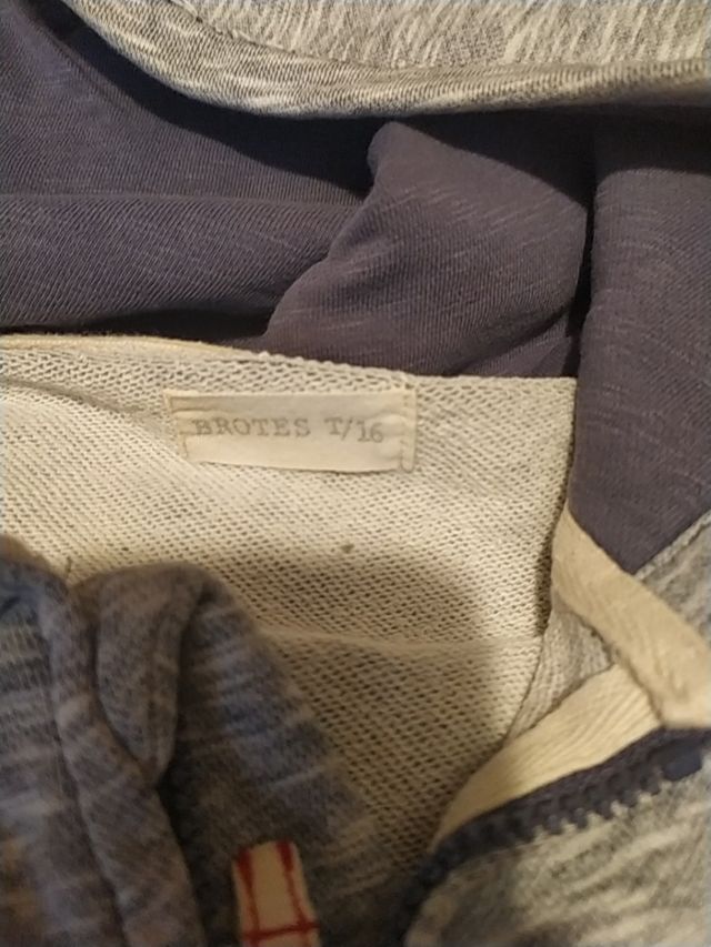 Sudadera Brotes Talla 16 Chico