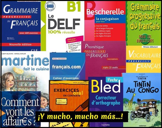 Francés. Libros, cds... Mucho material didáctico